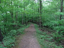 photo thumbnail #11