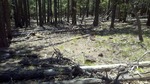 photo thumbnail #7