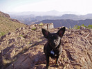 photo thumbnail #4