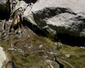 photo thumbnail #9