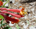 photo thumbnail #11