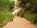 photo thumbnail #13