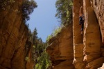photo thumbnail #2