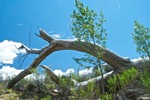photo thumbnail #2