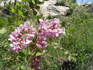 photo thumbnail #11