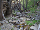 photo thumbnail #2