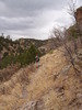 photo thumbnail #6