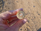 photo thumbnail #11