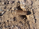 photo thumbnail #12