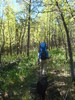 photo thumbnail #4