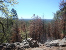photo thumbnail #5