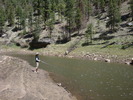 photo thumbnail #6