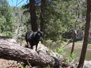 photo thumbnail #8