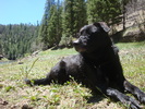 photo thumbnail #9
