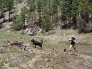 photo thumbnail #10