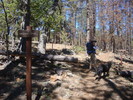 photo thumbnail #11