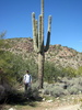photo thumbnail #4