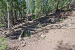 photo thumbnail #14