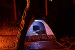 photo thumbnail #6