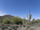 photo thumbnail #8