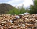 photo thumbnail #7