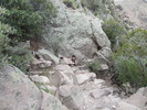 photo thumbnail #3