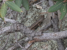 photo thumbnail #12