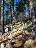 photo thumbnail #3
