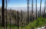 photo thumbnail #12