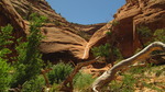 photo thumbnail #5