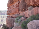 photo thumbnail #7