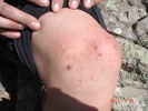 photo thumbnail #10