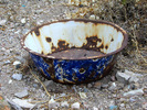 photo thumbnail #8