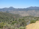 photo thumbnail #11