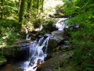 photo thumbnail #7