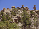 photo thumbnail #6