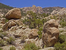 photo thumbnail #7