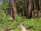 photo thumbnail #8