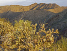photo thumbnail #3