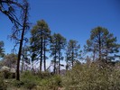 photo thumbnail #6
