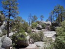 photo thumbnail #9