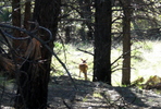 photo thumbnail #4