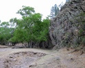 photo thumbnail #5