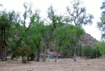 photo thumbnail #7