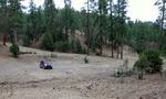 photo thumbnail #9