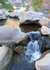 photo thumbnail #12