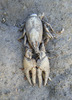 photo thumbnail #14
