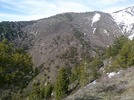 photo thumbnail #7