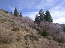 photo thumbnail #10
