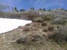 photo thumbnail #11